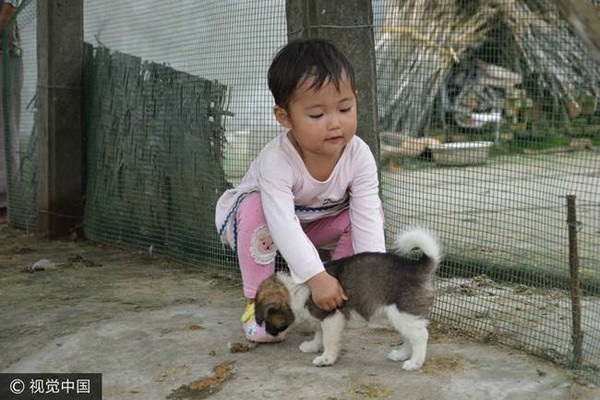 Câu chuyện cha đào mộ cho con gái 2 tuổi khiến cộng đồng mạng rơi nước mắt - 3