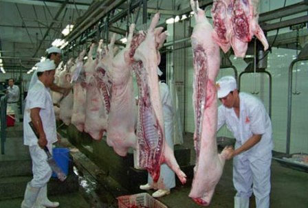 Nỗi kinh hoàng có tên "Sabutamol" trong thực phẩm đã "dịu" bớt - 1 Chất cấm Salbutamol từng là nỗi khiếp sợ của người tiêu dùng.