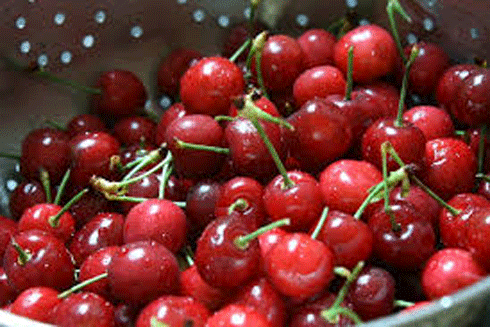 Cherry Trung Quốc giá rẻ tràn ngập "chợ mạng" - 1
Cherry Trung Quốc đang được rao bán với giá rất rẻ 120.000 đồng/kg