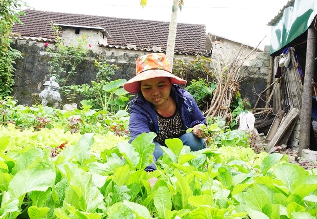 Những lúc đỡ đau, chị Nhất gắng gượng ra vườn chăm mấy luống rau. Đây là nguồn thực phẩm chính của cả nhà kể từ ngày chị ngã bệnh