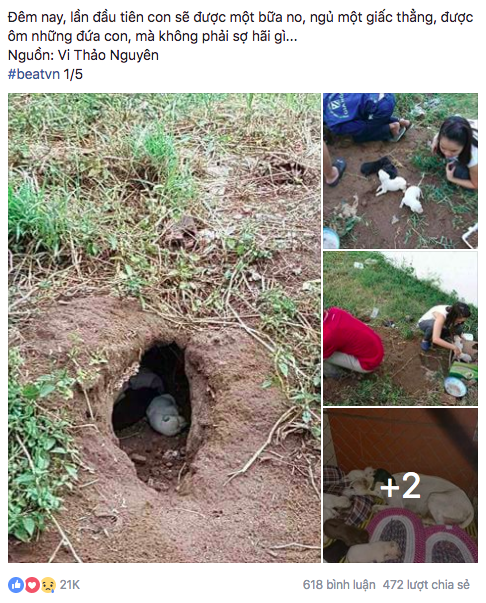 Câu chuyện được nhiều diễn đàn trên mạng xã hội chia sẻ, thu hút hàng trăm ngàn người quan tâm.