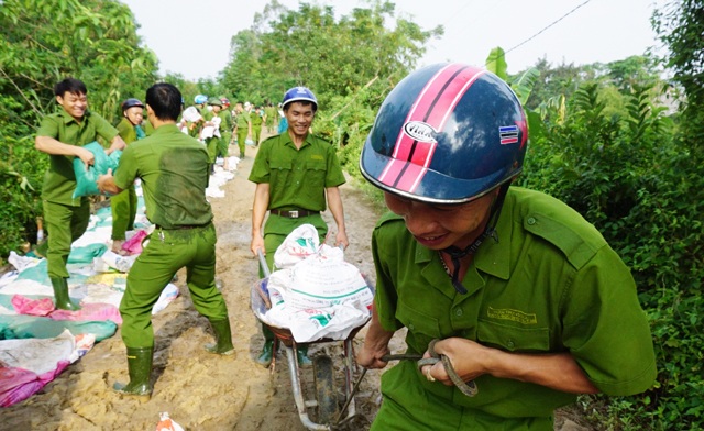 Vật lộn trong lũ chèn đá hộc, đóng cọc gia cố chân đê - 8 Mưa tạnh, nắng nên, việc vận chuyển vật liệu không còn quá vất vả như hôm qua