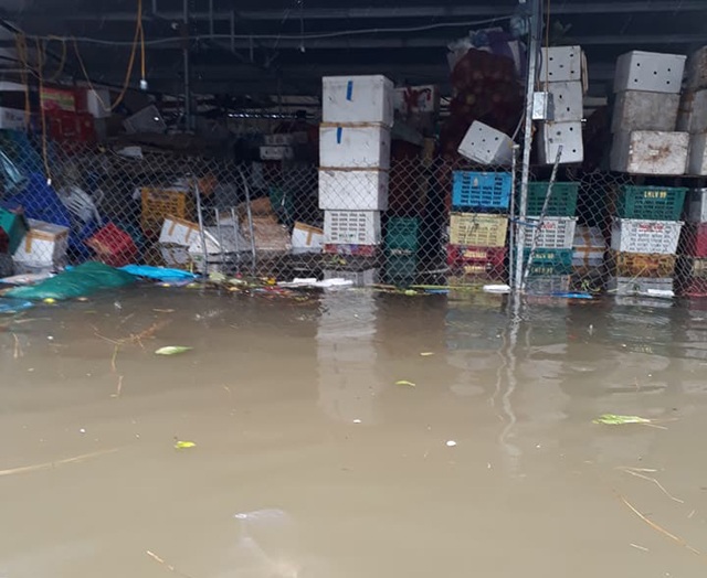 Mưa ngập thành phố, tiểu thương chợ Vinh trắng tay sau một đêm - 3
Khu vực nông sản, hàng mã gần như mất trắng