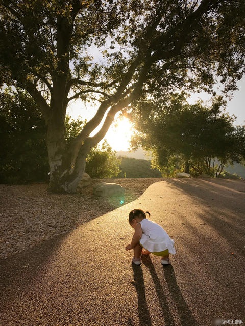 
Con gái của Chương Tử Di sở hữu gương mặt khá giống chồng cô. Cô bé nhanh nhẹn, hoạt bát và khá bụ bẫm. Chương Tử Di viết về con gái nhỏ: “Ở bên nhau, đến nhặt đá mẹ con mình cũng thấy vui bé nhỉ”.
