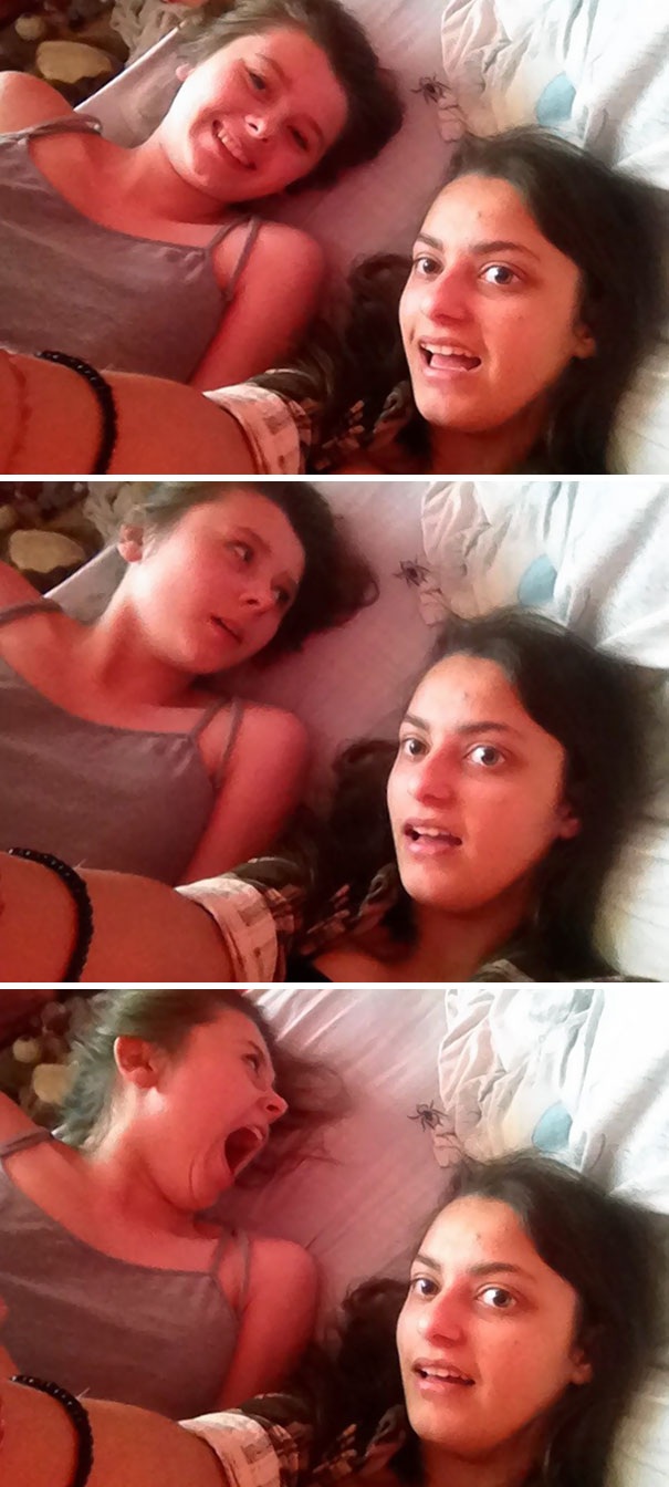 
Con nhện đáng ghét làm hỏng ảnh đẹp của chị rồi.
