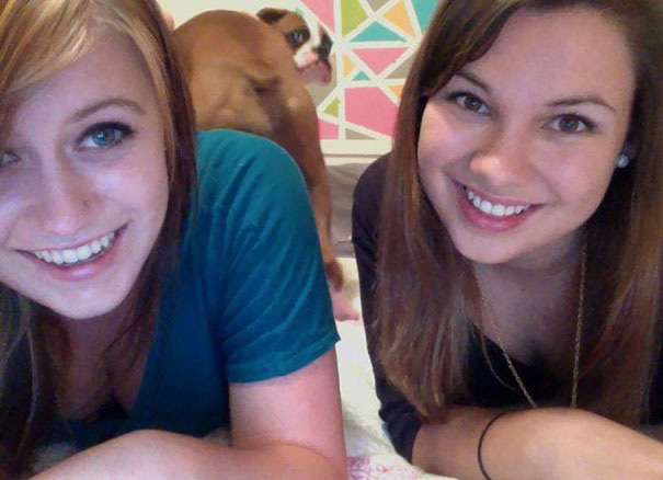 
Chó phản chủ quá đi mà.
