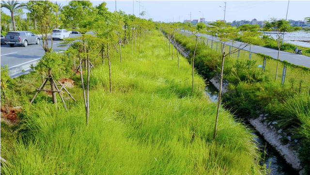 Những cầu, hầm ấn tượng nhất Việt Nam và cụ bà có “bộ tóc rồng” - 10 Tuyến đường hiện đại bậc nhất Thủ đô mang tên Đại tướng Võ Nguyên Giáp nối trung tâm Hà Nội với sân bay Nội Bài đang trong tình trạng cỏ dại mọc um tùm không được dọn dẹp. Ngoài ra, rác thải đổ trộm xuất hiện nhiều nơi gây mất mỹ quan và an toàn cho người tham gia giao thông. (Ảnh: Toàn Vũ)