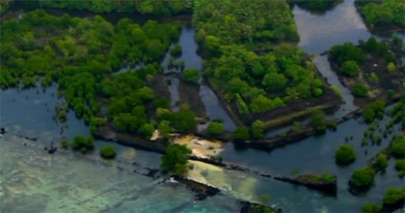 
Với vị trí trung tâm của mình, Nan Madol hẳn từng là một thủ phủ.
