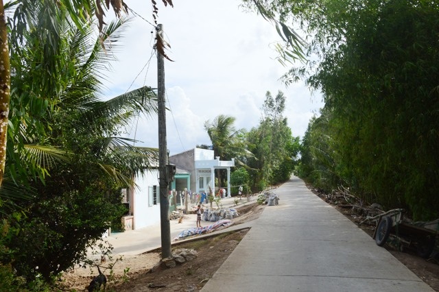 Hàng chục hộ dân chưa bao giờ biết đến ánh sáng của... đèn điện! - 5 Cột điện chỉ kéo tới vị trí này rồi rẽ ra ngoài ruộng.