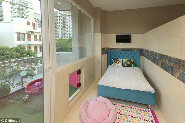 Bỏ tiền triệu thuê khách sạn siêu sang dành cho chó - 5 Mỗi căn phòng đều có ban công rộng thoáng