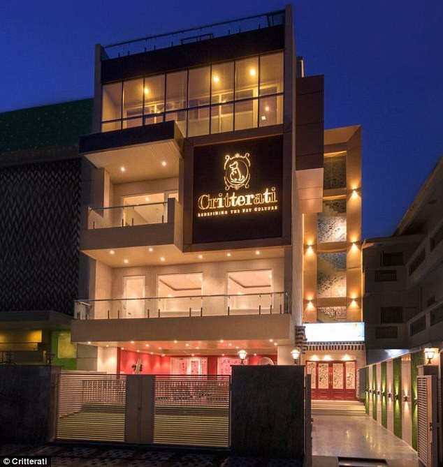 Bỏ tiền triệu thuê khách sạn siêu sang dành cho chó - 1 Quang cảnh bên ngoài của khách sạn dành cho chó