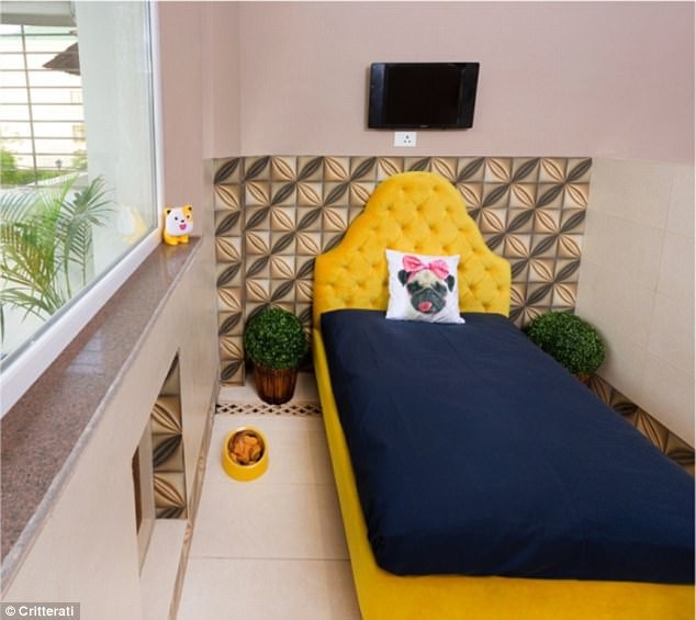 Bỏ tiền triệu thuê khách sạn siêu sang dành cho chó - 4 Phòng ốc thoải mái tiện nghi dành cho chó