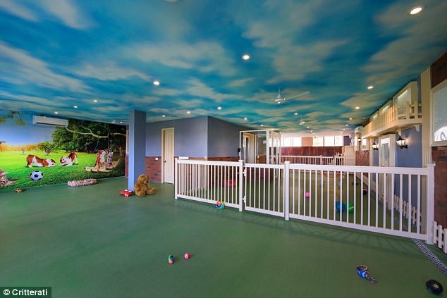 Bỏ tiền triệu thuê khách sạn siêu sang dành cho chó - 7 Khu vui chơi giải trí trong nhà