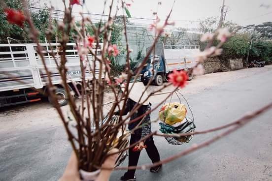 Nụ cười yêu đời của cụ bà thu gom giấy vụn ở Đà Lạt - 3 Gặp bà tình cờ trên đường đi lang thang ở Đà Lạt, bà đi mua giấy vụn, đang trên đường về. Tôi theo bà gần 2km, bà len lỏi qua các góc hẻm, các con đường để nhặt giấy và mua của các nhà dân.