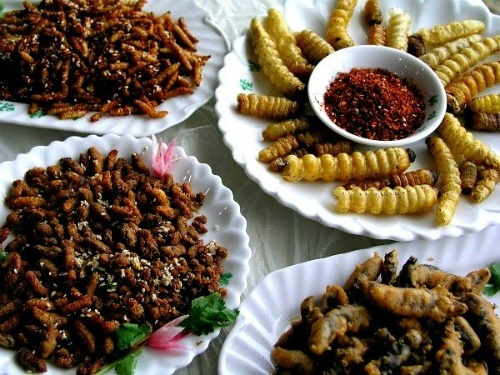 5 đặc sản khó quên của đất Trà Vinh - 4
Đĩa loi choi sả ớt hấp dẫn thực khách.