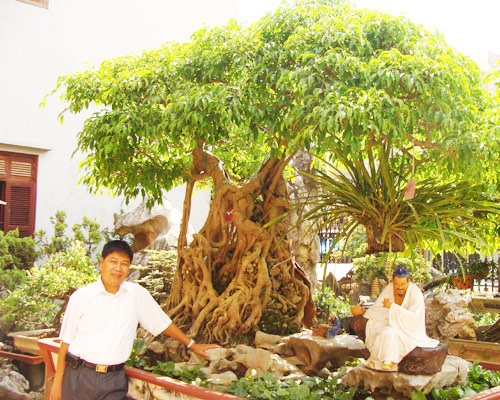 Những thú chơi ngông “đốt tiền” của đại gia Việt - 3 Toàn “đô la” bên cây sanh Ông Bụt giá hơn 20 tỷ đồng. (Ảnh: vietnamnet)