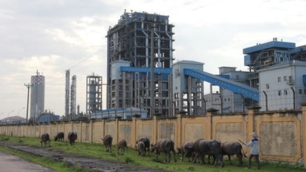 Xử lý hàng loạt "sếp" lớn doanh nghiệp nhà nước: Nhiều người bị "phê bình nghiêm khắc" - 2
Nhà máy Đạm Ninh Bình cũng nằm trong danh sách dự án có nguy cơ phá sản