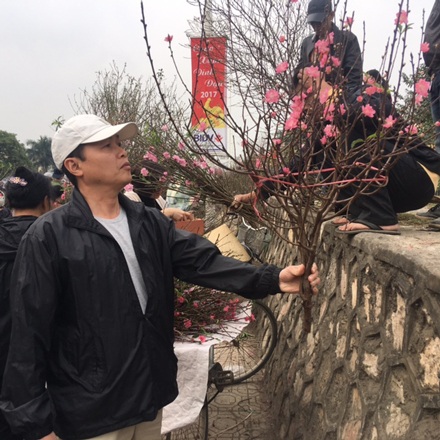 Hà Nội: Đổ xô tới chợ hoa Nhật Tân "phút chót", đường tắc cục bộ - 6