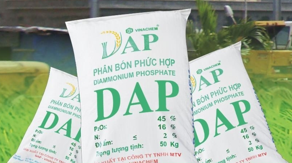 "Giải cứu" nhà máy DAP thua lỗ ngàn tỷ, vẫn còn những nỗi lo - 1 Một loạt nhà máy DAP của Vinachem đang trong tình cảnh thua lỗ.