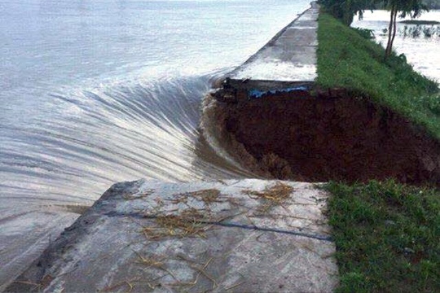 Nước sông Đáy dâng cao đã phá vỡ bối ở huyện Ý Yên.