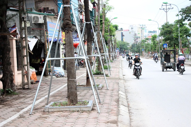 14 căn nhà trôi tuột xuống sông và cổng tỉnh 200 tỷ đồng - 9 Để đảm bảo cho cây xanh phát triển ổn định, không bị gãy đổ khi gặp thời tiết xấu, công ty cây xanh đã “đeo gông sắt” cho hàng loạt cây trên vỉa hè ở nhiều tuyến phố của Hà Nội. Mặc dù những “gông sắt” này có chiếm diện tích vỉa hè nhưng người dân rất ủng hộ. (Ảnh: Nguyễn Dương)