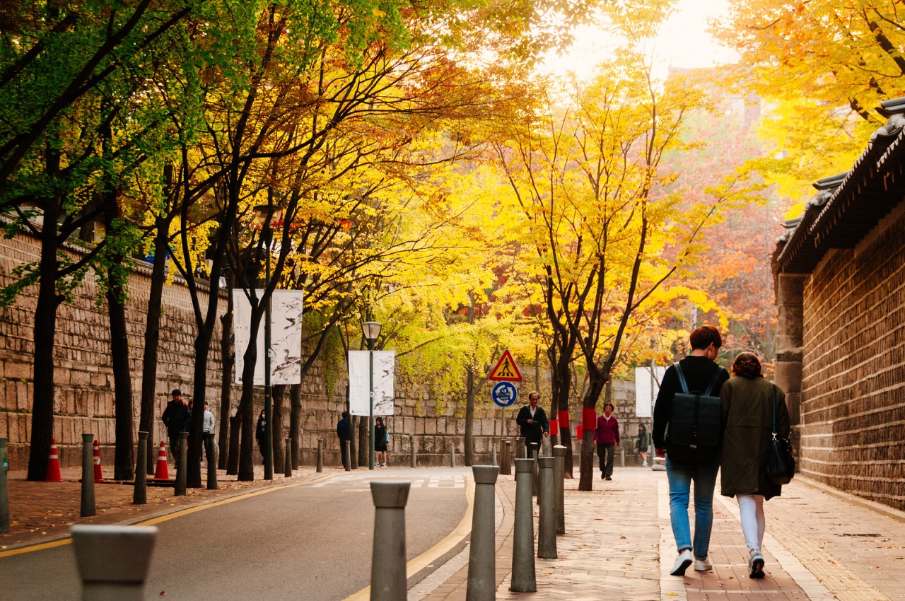 Seoul отзывы. Сеул аллея Каросу-Гиль. Южная Корея Сеул осенью. Осень Сеул парк. Парк осенью в Сеуле.