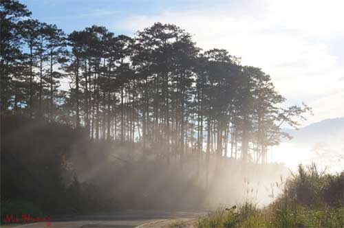 Chốn bồng lai tiên cảnh khi du khách chinh phục đèo Long Lanh.