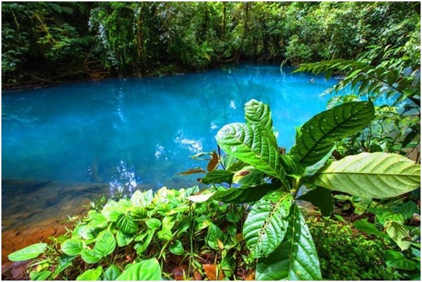 Lý giải hiện tượng dòng sông có màu ngọc lam ở Costa Rica - 1 Lý giải hiện tượng dòng sông có màu ngọc lam ở Costa Rica - 1