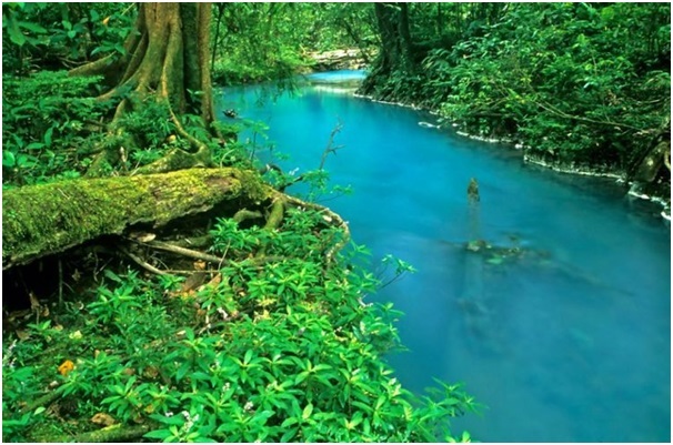 Lý giải hiện tượng dòng sông có màu ngọc lam ở Costa Rica - 2
Màu xanh ngọc lam của sông Rio Celeste.