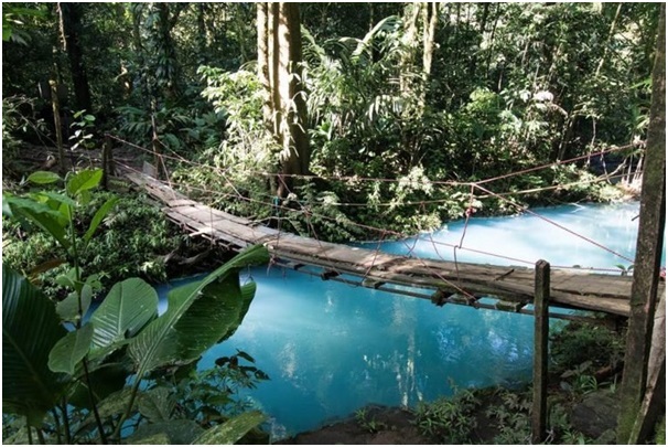 Lý giải hiện tượng dòng sông có màu ngọc lam ở Costa Rica - 3
Một điểm đặc biệt là Rio Celeste chỉ có màu xanh ngọc ở khúc sông 14 km, sau đó nước sông lại trở nên trong suốt.