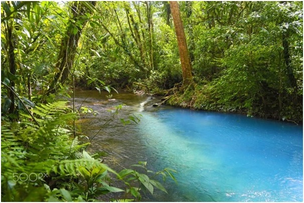 Lý giải hiện tượng dòng sông có màu ngọc lam ở Costa Rica - 5
Khi lơ lửng trong nước, hợp chất aluminosilicatephản chiếu ánh sáng Mặt Trời, đánh lừa mắt khiến người xem trông thấy nước màu xanh ngọc.