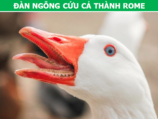 Điểm danh những con vật làm thay đổi lịch sử loài người (Phần 1) - 1