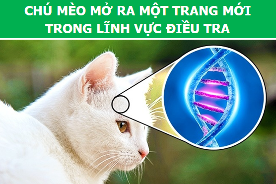Điểm danh những con vật làm thay đổi lịch sử loài người (Phần 1) - 2