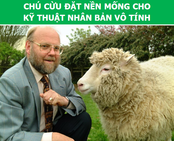Điểm danh những con vật làm thay đổi lịch sử loài người (Phần 2) - 2 Điểm danh những con vật làm thay đổi lịch sử loài người (Phần 2) - 2