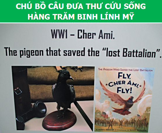 Điểm danh những con vật làm thay đổi lịch sử loài người (Phần 1) - 3