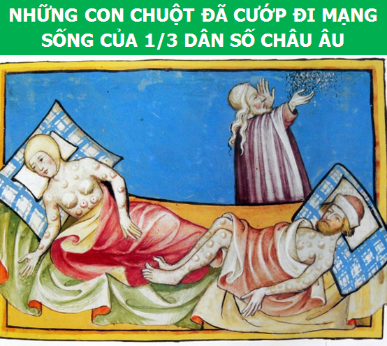 Điểm danh những con vật làm thay đổi lịch sử loài người (Phần 2) - 4 Điểm danh những con vật làm thay đổi lịch sử loài người (Phần 2) - 4
