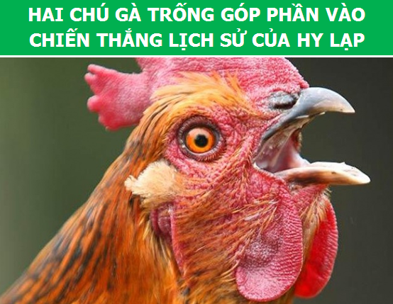 Điểm danh những con vật làm thay đổi lịch sử loài người (Phần 2) - 5 Điểm danh những con vật làm thay đổi lịch sử loài người (Phần 2) - 5