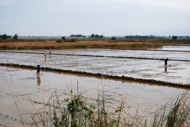 Một phụ nữ bị sét đánh khi đang làm ngoài đồng khi trời kéo cơn giông (ảnh minh họa)