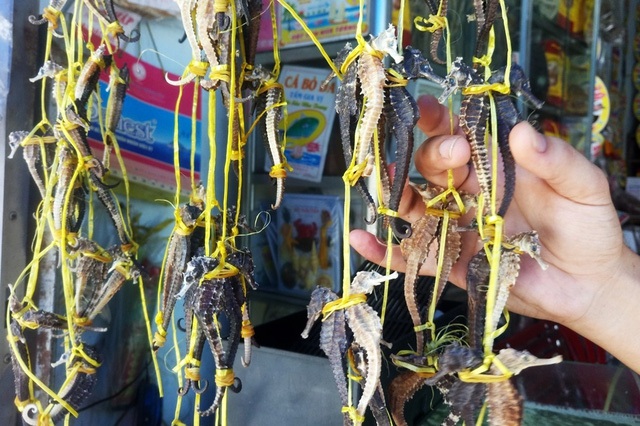 Những đặc sản được ví như “thần dược” chốn phòng the ở Việt Nam - 6 Cá được phơi khô, đóng gói 500gr hoặc 1kg với giá khoảng 9 triệu đồng/kg.