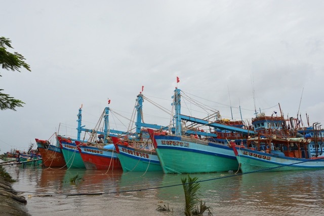 Nhiều tàu cá Sóc Trăng đã vào trú đậu an toàn.