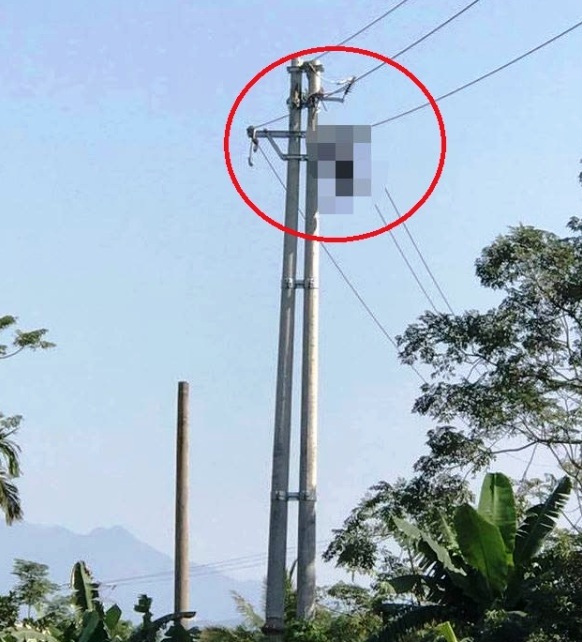 Phát hiện người đàn ông tử vong trên đường dây điện hạ thế - 1 Một người đàn ông xấu số ở Quảng Bình vừa bị đường dây điện hạ thế giật chết (Ảnh minh hoạ)