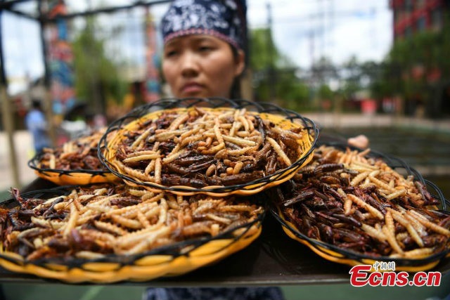 Côn trùng rán ở Lệ Giang, tỉnh Vân Nam