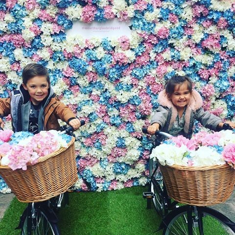 Cả hai tỏ ra thích nghi rất nhanh với môi trường mới