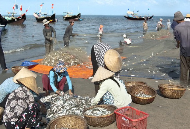 Những điều cần biết để tổ chức chuyến đi Quan Lạn vừa vui vừa rẻ - 6 Hải sản có thể mua ở chợ hoặc ngay trên bãi biển khi ngư dân vừa đánh bắt về