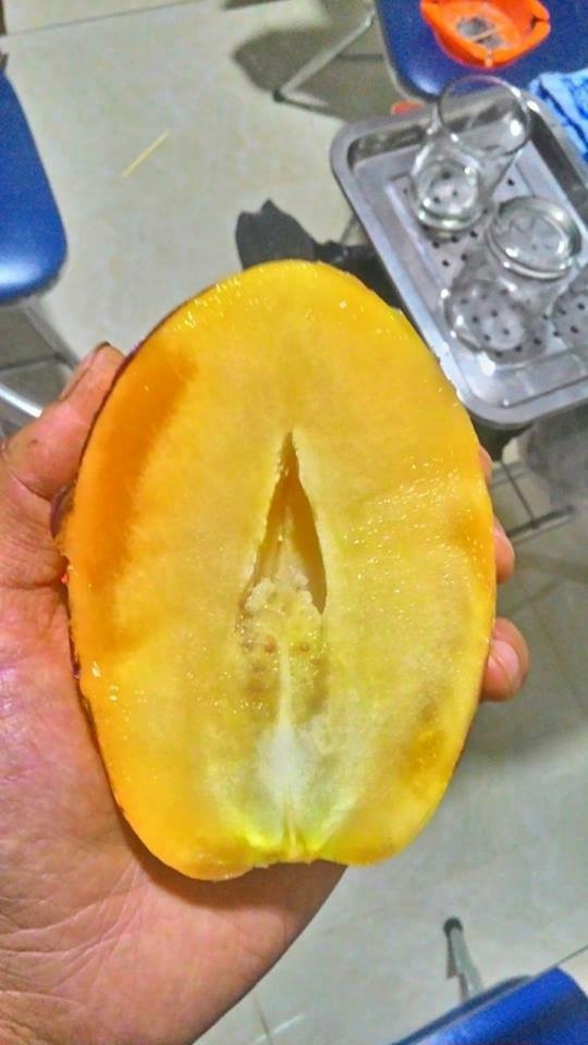 Bổ đôi bên trong quả dưa Pepino