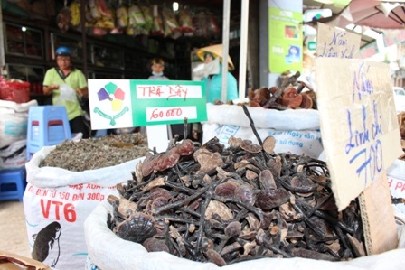 Độc đáo tuần lễ Đông y giữa lòng Sài Gòn - 6