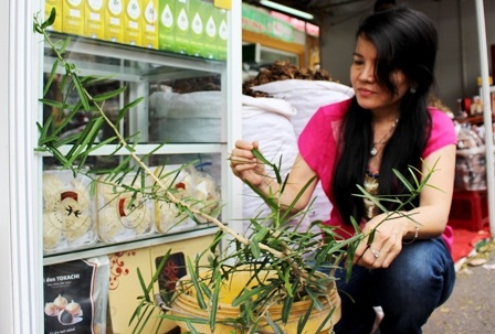 Độc đáo tuần lễ Đông y giữa lòng Sài Gòn - 3