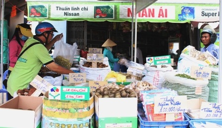 Hoạt động mua bán bắt đầu nhộn nhịp