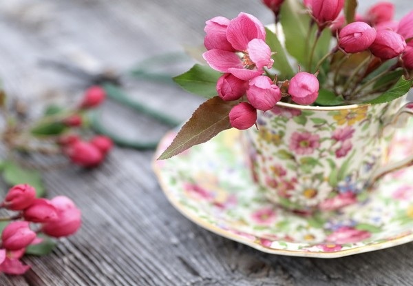 Bộ sưu tập hình nền “sắc hoa” tuyệt đẹp mừng ngày Phụ nữ Việt Nam 20/10 - 17 Bộ sưu tập hình nền “sắc hoa” tuyệt đẹp mừng ngày Phụ nữ Việt Nam 20/10 - 17