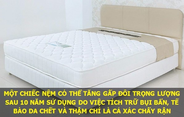 Những sự thật thú vị về vạn vật quanh ta - 1 Chiếc nệm không sạch như chúng ta nghĩ!